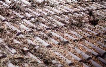 North Synton roof cleaning companies